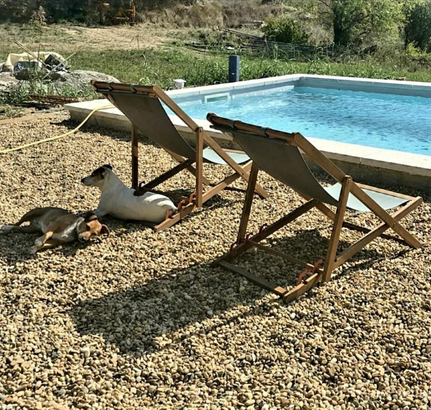 Bastide Bellugue Maison D'Hotes Reseau Bienvenue A La Ferme A 3 Minutes De Lourmarin Cadenet Bagian luar foto
