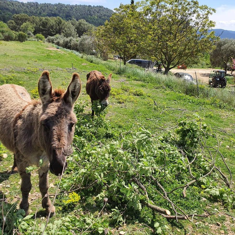 Bastide Bellugue Maison D'Hotes Reseau Bienvenue A La Ferme A 3 Minutes De Lourmarin Cadenet Bagian luar foto