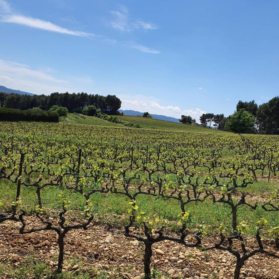 Bastide Bellugue Maison D'Hotes Reseau Bienvenue A La Ferme A 3 Minutes De Lourmarin Bed & Breakfast Cadenet Bagian luar foto