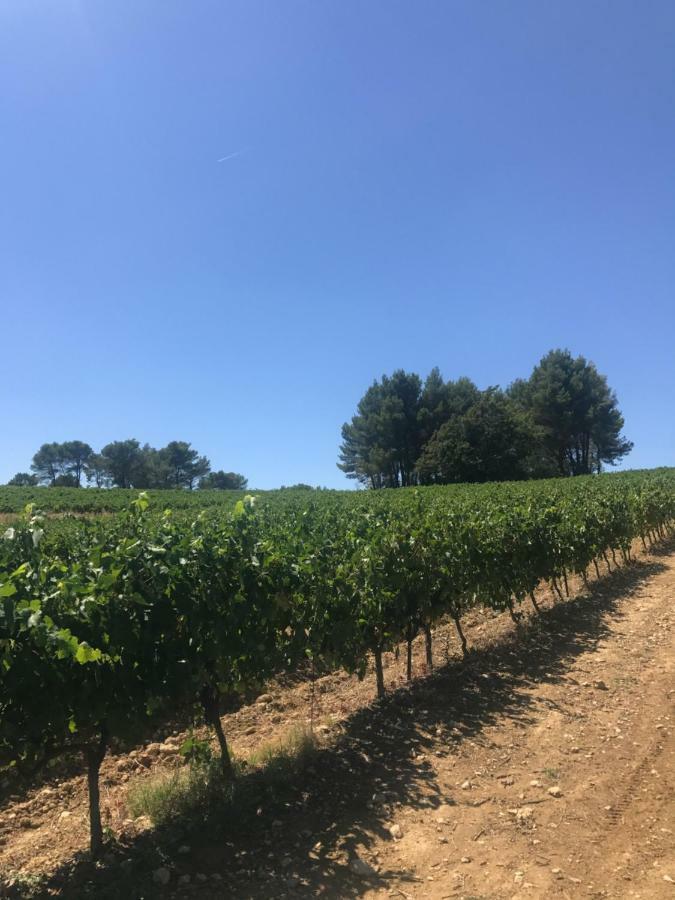 Bastide Bellugue Maison D'Hotes Reseau Bienvenue A La Ferme A 3 Minutes De Lourmarin Bed & Breakfast Cadenet Bagian luar foto