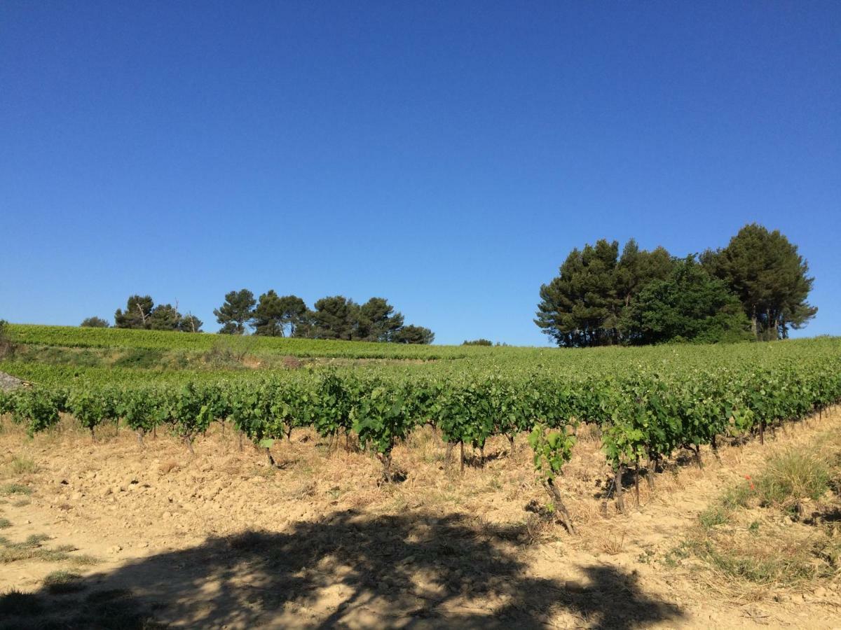 Bastide Bellugue Maison D'Hotes Reseau Bienvenue A La Ferme A 3 Minutes De Lourmarin Bed & Breakfast Cadenet Bagian luar foto