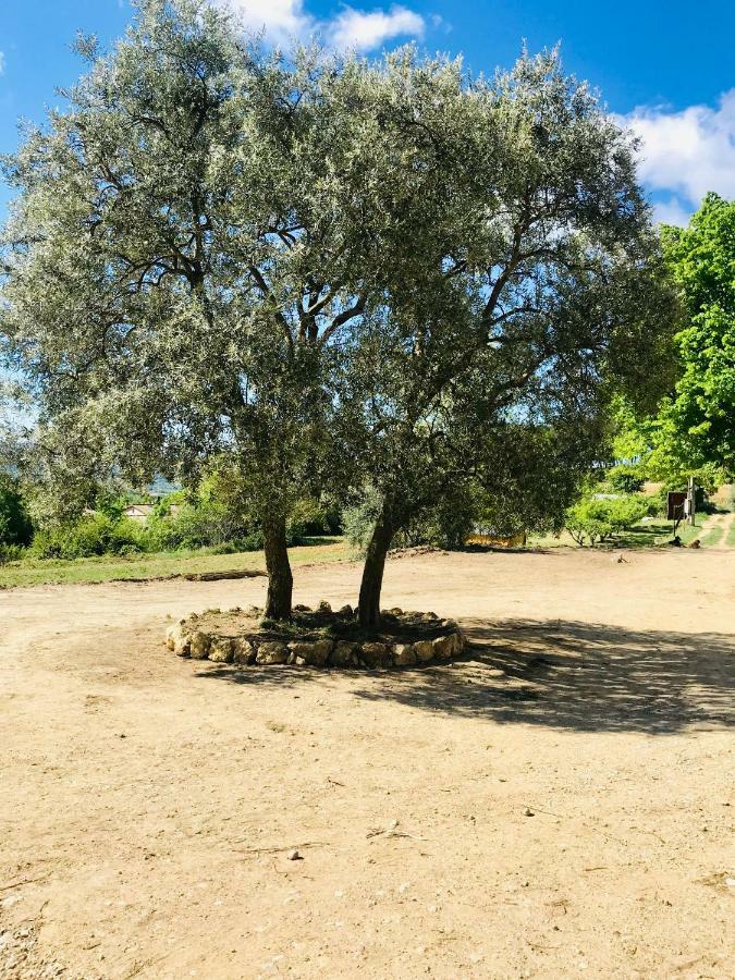 Bastide Bellugue Maison D'Hotes Reseau Bienvenue A La Ferme A 3 Minutes De Lourmarin Cadenet Bagian luar foto